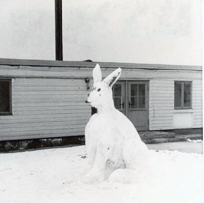 Snow Rabbit